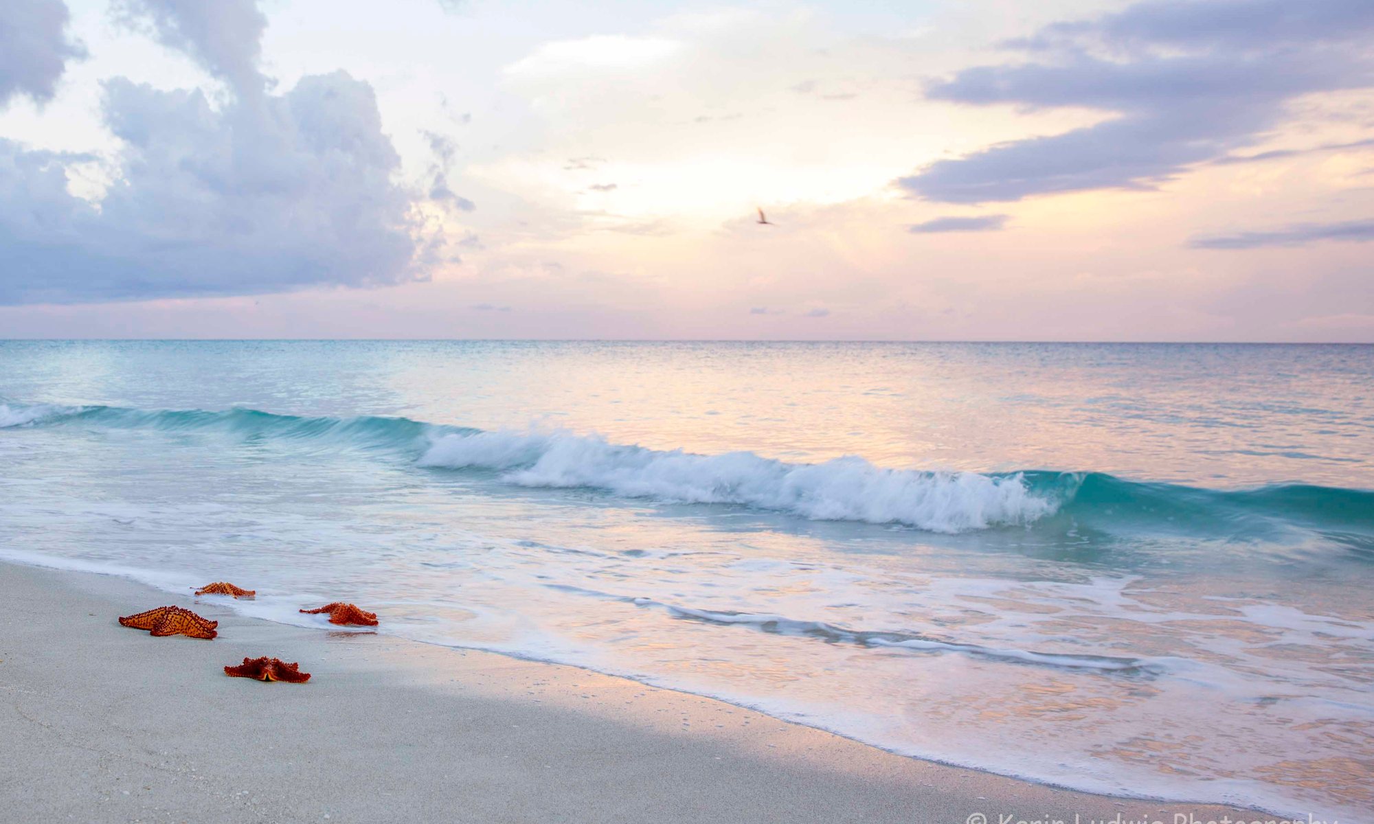 Morgenstimmung auf Kuba